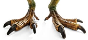 dinosaur feet
